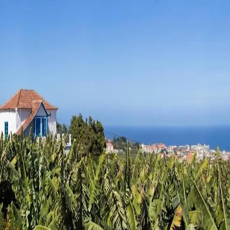 펜션 Cave House In Tenerife With Pool And